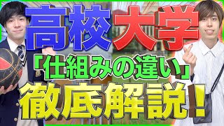 【新入生必見】高校と大学の｢仕組みの違い｣をゼロから徹底解説！ [upl. by Holder]