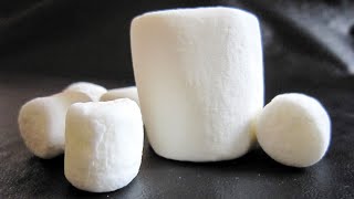 Famous marshmallow test may not predict success [upl. by Deb]