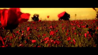 Sisu  Din Toate Florile  Official Video [upl. by Zippora]