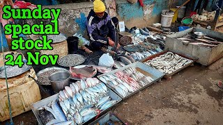 24nov stock fishmarket fishfood fishbazar viralvideo shorts tranding fishing fishcooking [upl. by Lorine914]