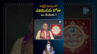 Karthka Masam Day 8  Daily Rituals  Medicharla Hari Krishna Sharma  Pragada TV  కార్తీక మాసం8 [upl. by Aara]