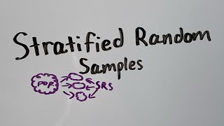 Stratified Random Samples [upl. by Stedt]