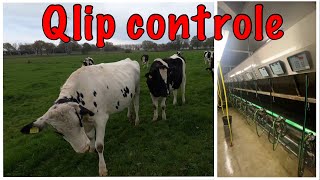 Controle  audit van de melkfabriek  Qlip [upl. by Keeley]