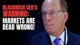 BlackRock CEOs Shocking Warning Markets Are Dead Wrong [upl. by Romine]