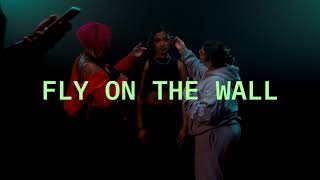 TYLER LEWIS  fly on the wall Lyric Video [upl. by Anaele]