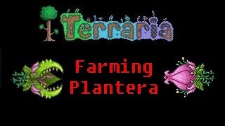 How to Farm Plantera [upl. by Leanne]