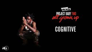 Kodak Black  Cognitive Official Audio [upl. by Venuti904]