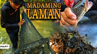 P1  Andaming Laman ng Bokatot  EP1532 [upl. by Aivle104]