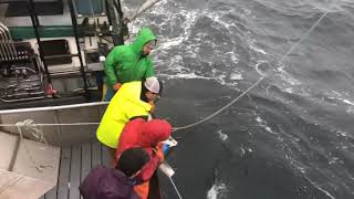 Rough Weather  Halibut Long lining Alaska [upl. by Branham]