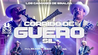 Los Caimanes De Sinaloa  Corrido de Guero Sil En Vivo [upl. by Chen360]