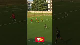 Matteo Albano  Gol vs Paullese Calcio  football goal highlights [upl. by Snevets]