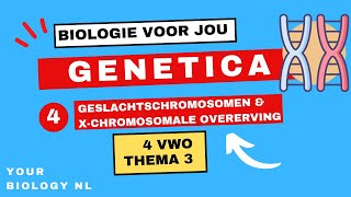 4 vwo  Genetica  4  Geslachtschromosomen amp Xchromosomale overerving [upl. by Gnuhp660]