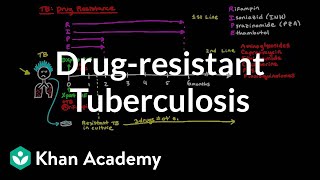 Drugresistant TB  Infectious diseases  NCLEXRN  Khan Academy [upl. by Martinsen]