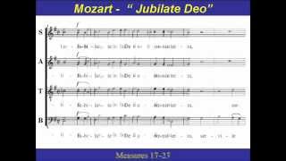 Mozart  Jubilate Deo  Alto [upl. by Anovahs497]