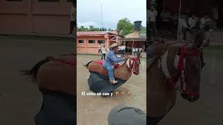 El 🏇🏇🏇🏇 y sus travesuras caballos [upl. by Uttasta]