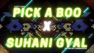 Pick A Boo X Suhani Gyal 2024 Chutney Remix Lady Lava Raymond Ramnarine EXPLICIT [upl. by Jangro]