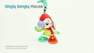 0188624 Dingly Dangly Macaw [upl. by Kline]