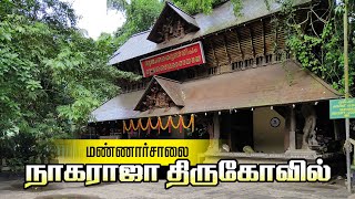 மண்ணார்சாலை நாகராஜா திருகோவில்  MANNARSALA NAGARAJA TEMPLE  HISTORY OF INDIAN SERPENT TEMPLE [upl. by Lerat]