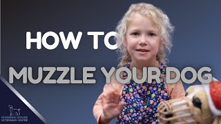 Cutest Trainer Ever Muzzle Training Tips [upl. by Mapel]