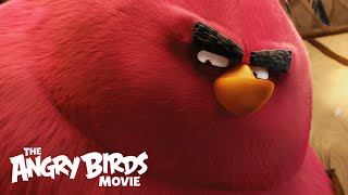 The Angry Birds Movie  Clip Meet Terence [upl. by Idnek822]