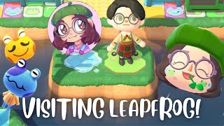 Touring FroggyCrossings Dream Address  Animal Crossing New Horizons [upl. by Bary]