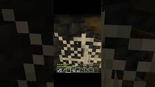 Cave Spider attack on me in Minecraft [upl. by De]