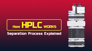 How HPLC Works The Separation Process Explained [upl. by Koziel753]