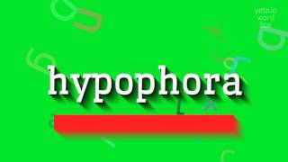 How to say quothypophoraquot High Quality Voices [upl. by Litman]