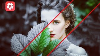 KineMaster Tutorial New Effect On Picture  Technical Bibhash Pro [upl. by Odranoel707]