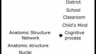 Brain based education Fad or breakthroughhigh quality [upl. by Susi]