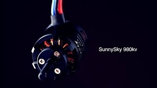 Sunnysky 980kv V2 vs NTM 28 30s 900kv Motor Review [upl. by Elyl]