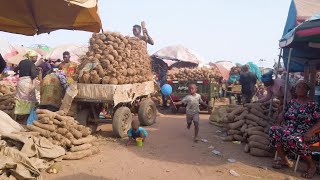 BIGGEST YAM MARKEET IN AFRICA GHANA ACCRA MAKOLA AGBOGBLOSHIE [upl. by Hands]