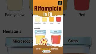 What is Rifampicin  Rifampicin in TB rifampicin nursing testpaperlivenursing shortvideo aiims [upl. by Shulock988]