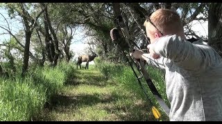 3d Shoot Traditional Bows [upl. by Tireb993]