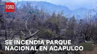 Combaten incendios forestales en parque nacional El Veladero Acapulco  Las Noticias [upl. by Nnailuj]