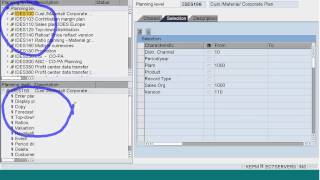 SAP COPA Planning Part1 [upl. by Gaudette]