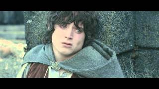 Best amp Favorite Lord of the Rings Quotes  quotWorth fighting forquot Sams Speech  Subtitles  HD [upl. by Hedvah]