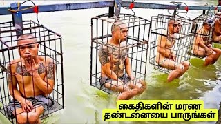 உலகின் மோசமான மற்றும் படுபயங்கரமான சிறைச்சாலைகள்  Dangerous prisons in the world  TamilWonders [upl. by Rudman]