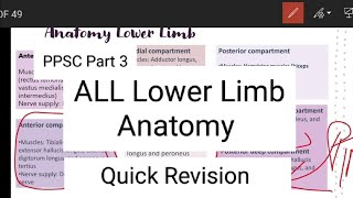 ALL Lower Limb AnatomyPPSC Part 3Quick Revision MusclesFunctionsNerve SupplyPhysioPlex [upl. by Emarej]