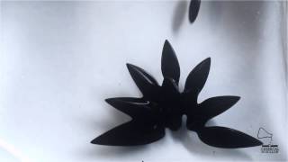 Ferrofluid  Multiples attractors [upl. by Secundas]