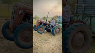 Lalghoda k dada ji bijughotiya bijuvlog minivlog bijuvlogs farming bijujituvlog minivolgs [upl. by Jowett]