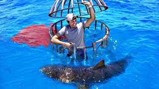 Shark Attack Test Human Blood vs Fish Blood [upl. by Paver]