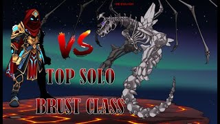 AQW Immortal chronomancer Solo Desolich  Preadjust [upl. by Denys]