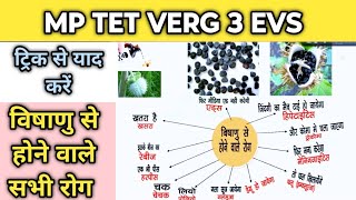 MP tet verg 3 2024 ।। विषाणु से होने वाले रोग ।। EVS ।। environmental studies।। ट्रिक से सीखें।। [upl. by Gladine73]