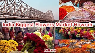 Asia Biggest Flowers Market Howrah Flower Market  Kolkata Wholesale Flower Markat [upl. by Clothilde446]