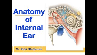 Anatomy of Internal Ear [upl. by Mittel]