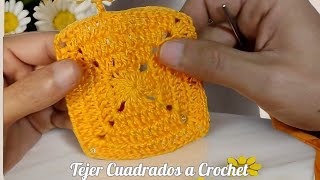 Tejer Cuadrados a Crochet Patrones y Proyectos Creativos para Principiantes y Expertos [upl. by Grinnell]