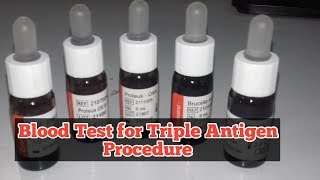 Blood Test for Triple Antigen Procedure in bangla [upl. by Limaa]