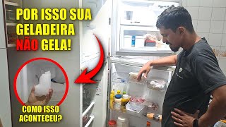 Segredo Revelado Geladeira não gela embaixo  Veja o que pode ser [upl. by Naellij881]