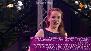 Lippen Schweigen lyrics 歌词 letra текст песни Text paroles de chanson Testi [upl. by Ibmat]